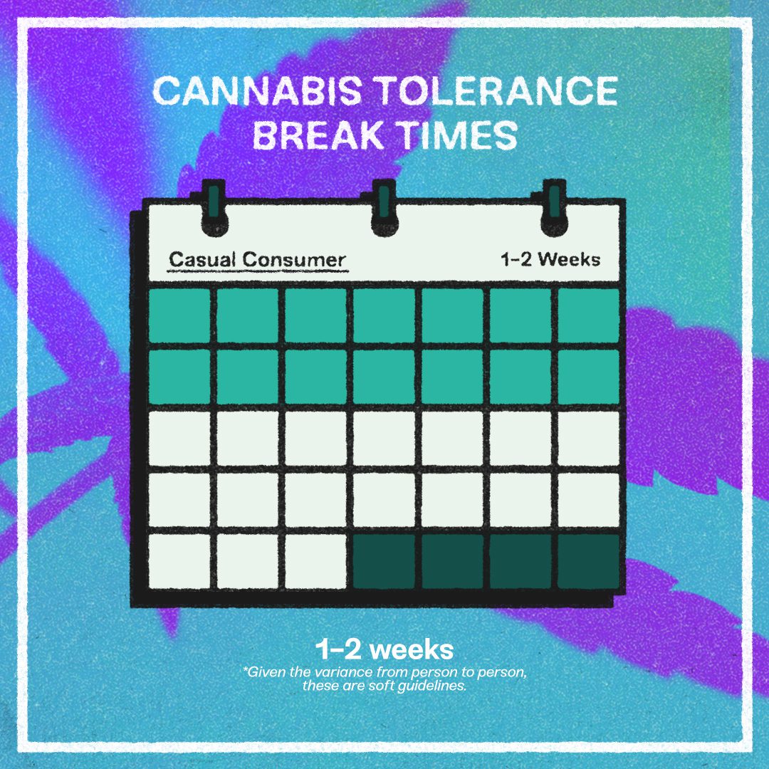 How Long Should a Weed Tolerance Break Be?