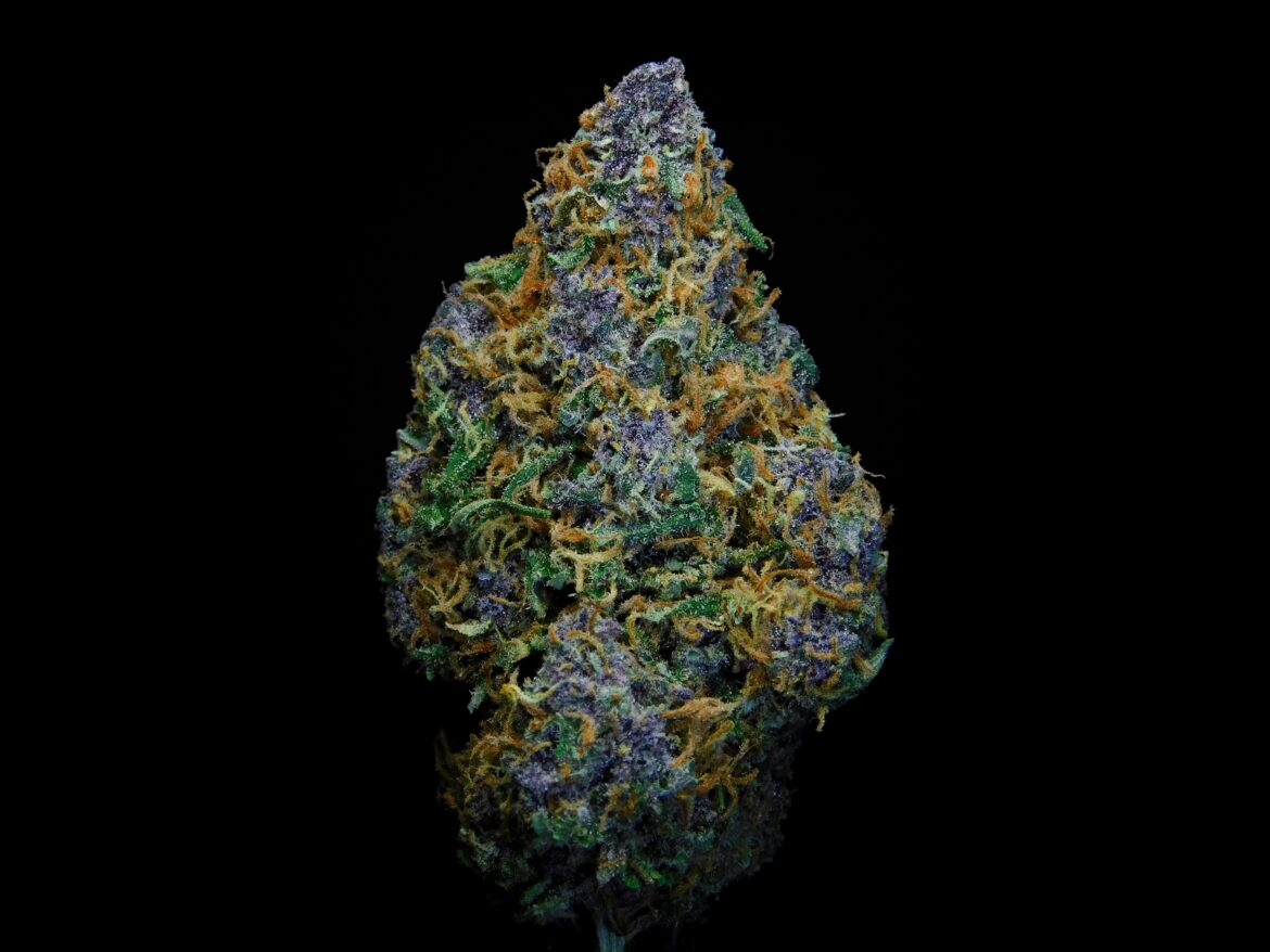 photo by rob warner on unsplash_LA Kush Cake strain: Everything You Need to Know photo by rob warner on unsplash_LA Kush Cake strain: Everything You Need to Know