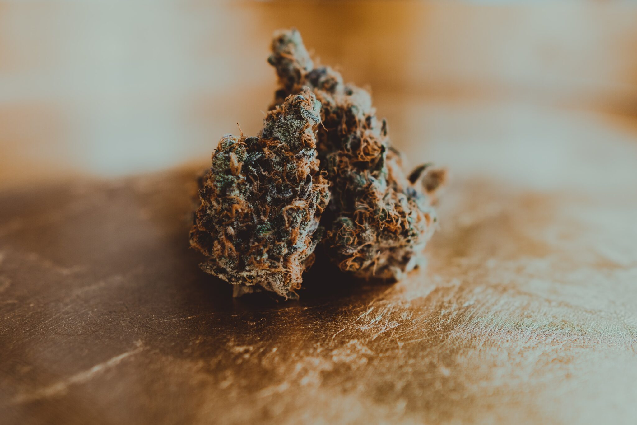 photo by matthew sichkaruk on unsplash_How much does an eighth of weed cost?