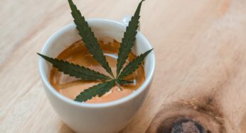 What Happens When You Combine Caffeine and Weed?