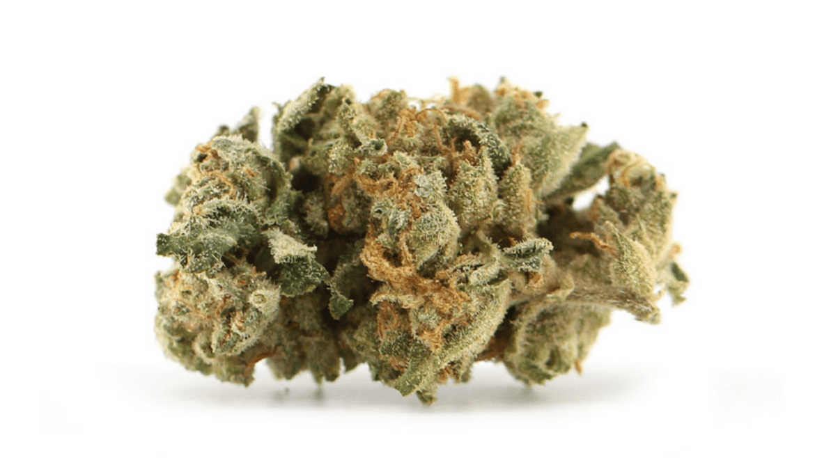 Girl Scout Cookies gsc strain