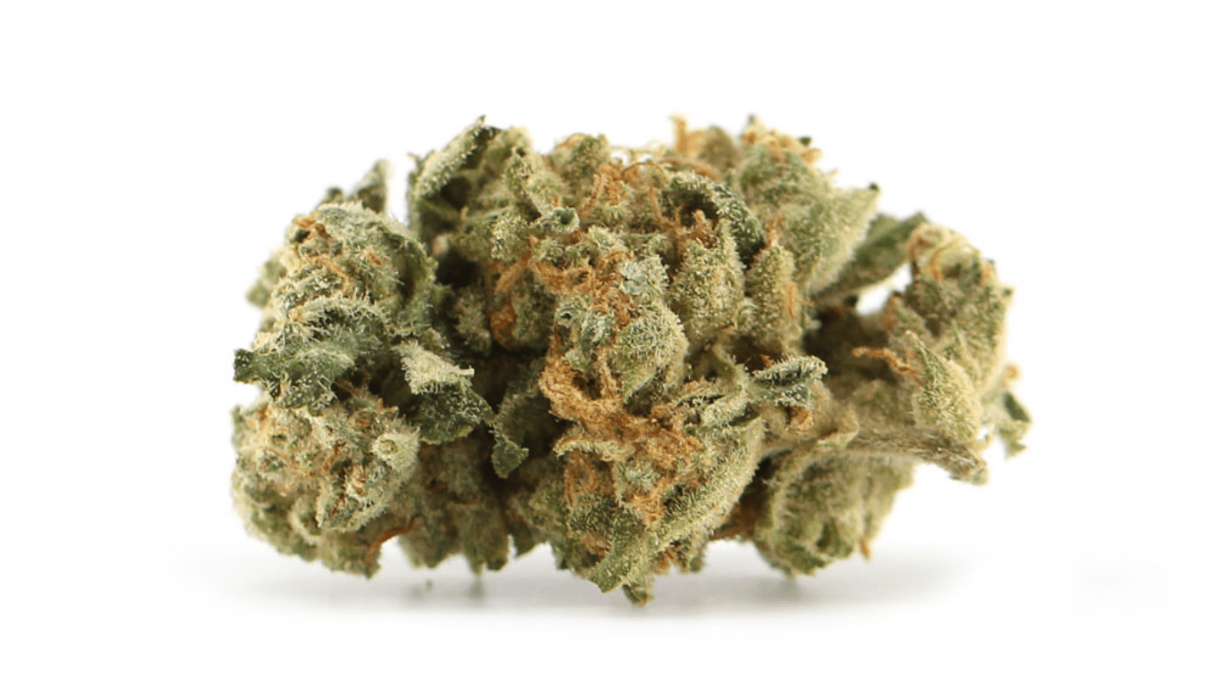 Girl Scout Cookies (GSC) Strain: Sweet & Strong